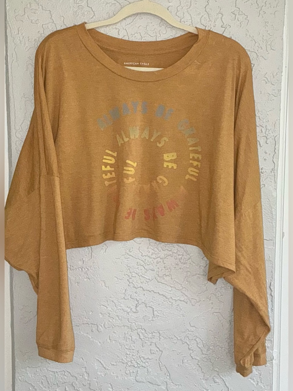 American Eagle Outfitters Cropped Long-Sleeve Top